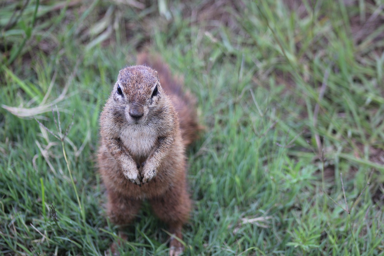 comparatif ventilateur