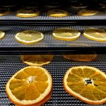 déshydrateur alimentaire